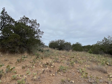 Lot 22 Cr 140, Burnet, TX 78611 - photo 3