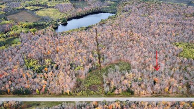 ON Cth A unit Lot 1, Deerbrook, WI 54424 - photo 2