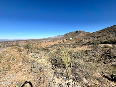 1770 Calle Pescador unit 1, Rio Rico, AZ 85648 - photo 3