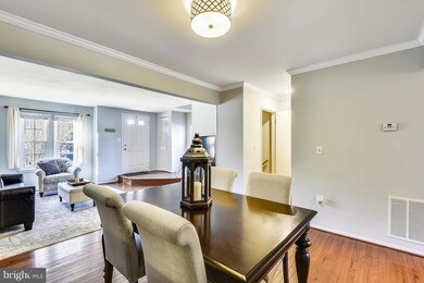 3731 Gelderland Ct, Olney, MD 20832 - photo 5