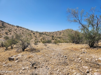 Estrella Mountain Lot View