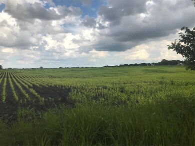 13249 Fm 697, Whitewright, TX 75491 - photo 5