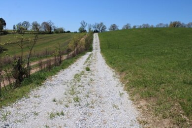 driveway going out
