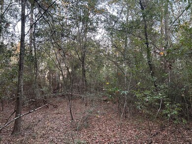 16,17,18 Paradise Cir, Donalsonville, GA 39845 - photo 7