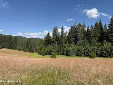 NKA S Fern Creek Rd, Cataldo, ID 83810 - photo 5