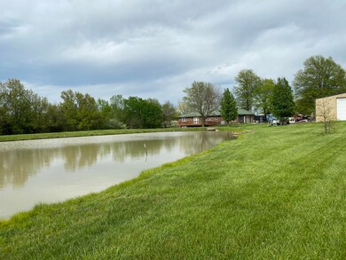 pond