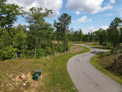 LOT 108 High River, Ellijay, GA 30540 - photo 4