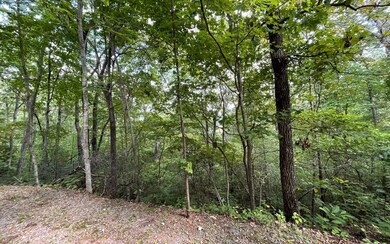 LOT 20 Enchanted Ridge, Hayesville, NC 28904 - photo 5