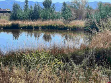 12792 Colorado 145, Dolores, CO 81323 - photo 6
