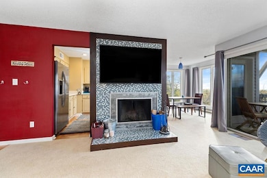 3211 N Ridge, Wintergreen Resort, VA 22967 - photo 4