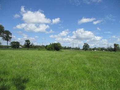 000 Fm 521 Rd, Brazoria, TX 77422 - photo 5