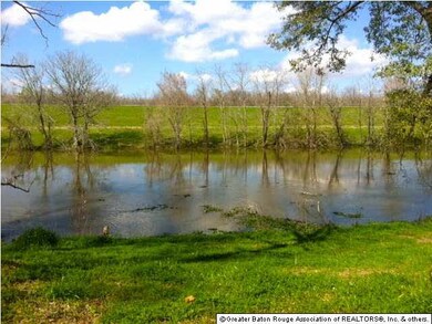 On the Bayou