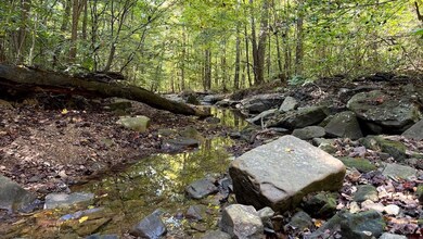 0 Olaton Rd unit LotWP001, Olaton, KY 42361 - photo 6