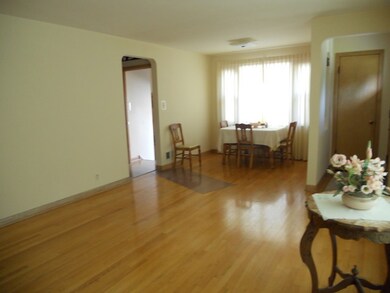 335 E Parkview Ave, Elmhurst, IL 60126 - photo 3