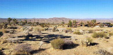 7900 Wesley Rd, Joshua Tree, CA 92252 - photo 7