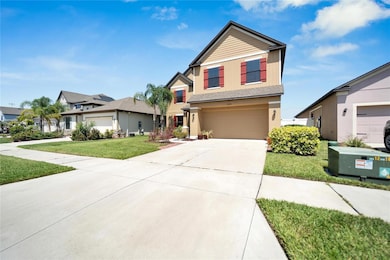 14318 Fissore Blvd, Wimauma, FL 33598 - photo 5