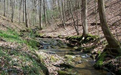 276 Monticello Rd, Ellijay, GA 30536 - photo 2