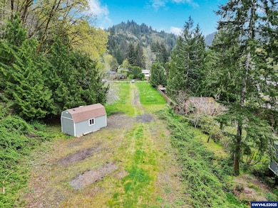 0 Lot Pioneer St unit 835915, Tidewater, OR 97330 - photo 7