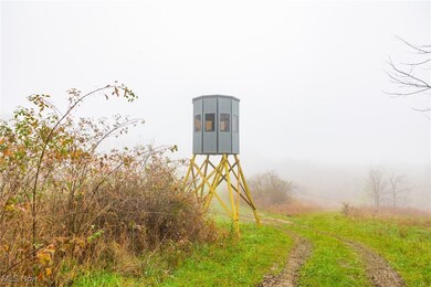 152 County Road 3, Mount Pleasant Township, OH 43943 - photo 6