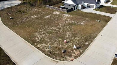 1774 Hazel Dr, Mandeville, LA 70448 - photo 3