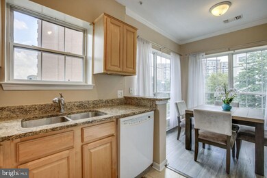 4551 Strutfield Ln unit 4205, Alexandria, VA 22311 - photo 5