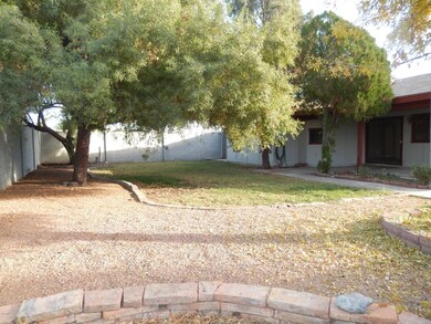 Private Backyard