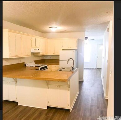 1000 N Red St, Sheridan, AR 72150 - photo 5