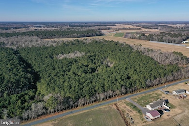 0 Bent Pine Rd unit MDWC2020984, Willards, MD 21874 - photo 3