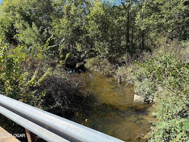 XXX-A Teal Dr, Newtonia, MO 64853 - photo 6