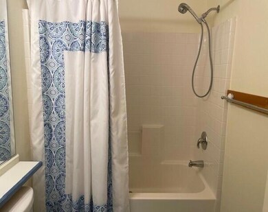 Guest Bathroom 2