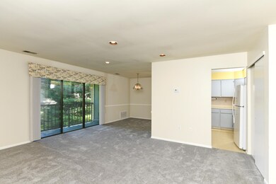 Living Dining & Kitchen