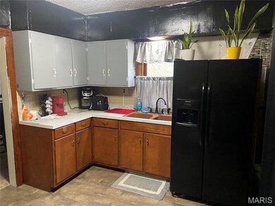 209 Spring St, Arcadia, MO 63621 - photo 4