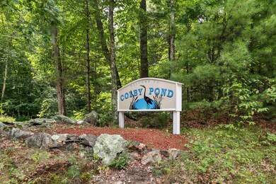 24 Boulder Dr, Danville, NH 03819 - photo 6