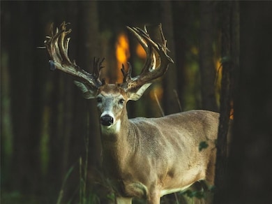 18618 Us Highway 43, Linden, AL 36748 - photo 7