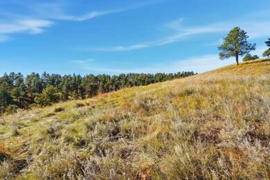 Lot17D W Minnesota St, Rapid City, SD 57701 - photo 5