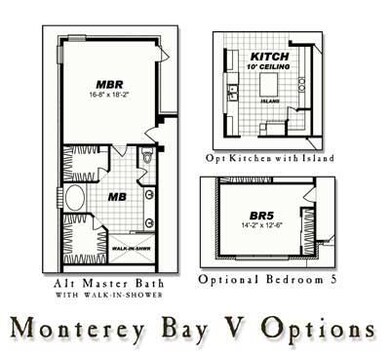 Monterey Bay V OPTIONS