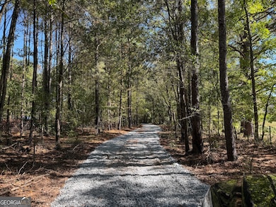 6.5 ACRES Williams Mill Rd, Zebulon, GA 30295 - photo 2
