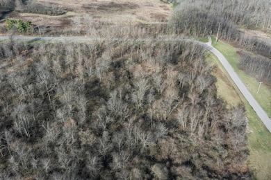 5621 Cox Rd, North Lewisburg, OH 43060 - photo 2