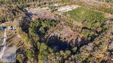 12 Acres Raybon Rd E, Nahunta, GA 31553 - photo 3