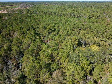 Mendez Rd, Willis, TX 77378 - photo 7