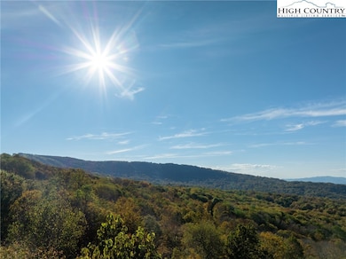 123 Briarwood Ln, Beech Mountain, NC 28604 - photo 3