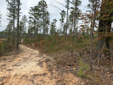 0 Cr 472 unit 37260, Meridian, MS 39301 - photo 5