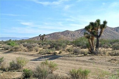 4848 50th St W, Rosamond, CA 93560 - photo 6