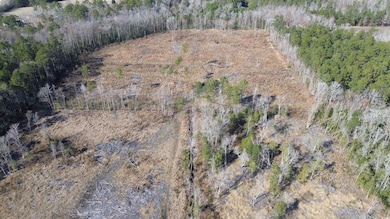 TBD Highway 905, Conway, SC 29526 - photo 5