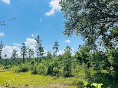 0 Mcgregor Rd unit 23667917, Grand Bay, AL 36541 - photo 7