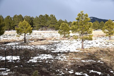 DSC_3121