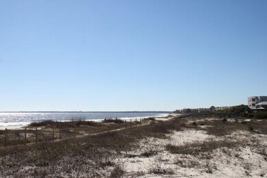 Dunes at the beach