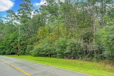 85 Lake Forest Cir, Conroe, TX 77384 - photo 4