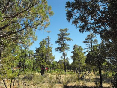 Lot 197 Tamarron 5