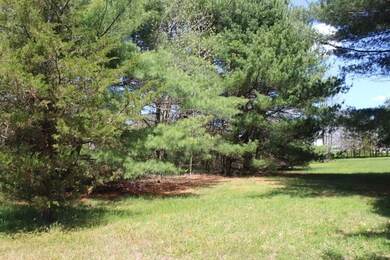 5 Paddock Ln, Millis, MA 02054 - photo 2